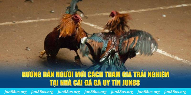 88clup loi game dot kich ket noi may chu that bai