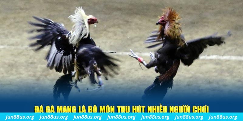 88clup đăng nhập lô đề hàng đầu