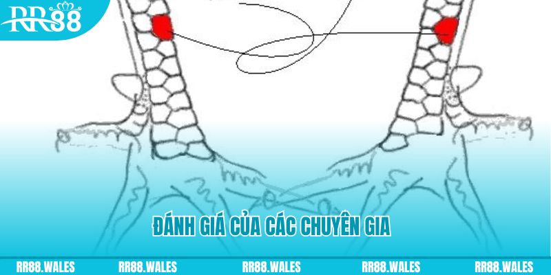 88clup V8 Game Bài 3d