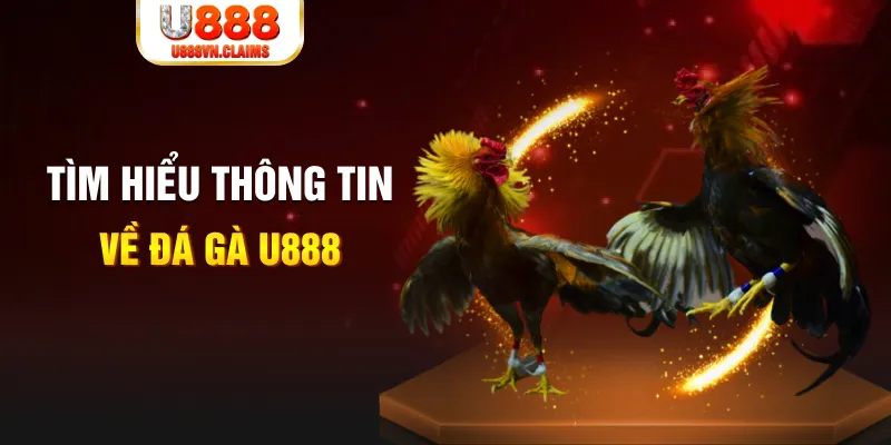 88clup đăng nhập tiến lên miền nam hàng đầu