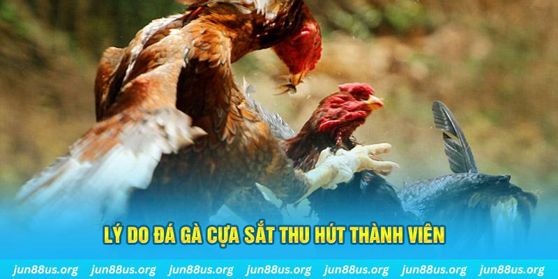 88clup chiếm slot là gì