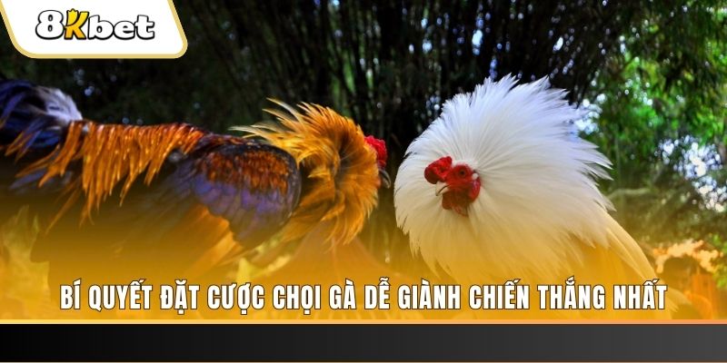 88clup xổ số thứ hai hàng tuần