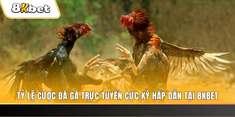 88clup baccarat online bịp như thế nào