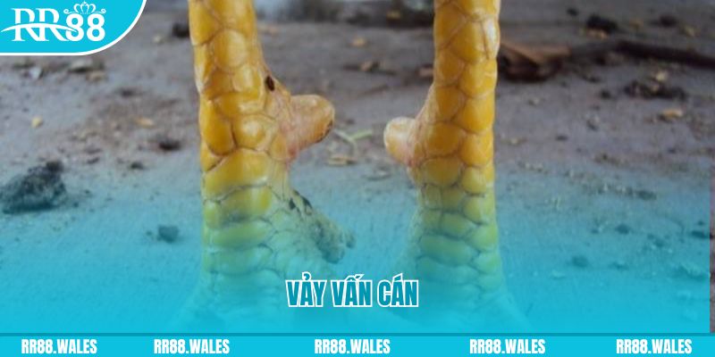 88clup đăng nhập nổ hũ hôm nay