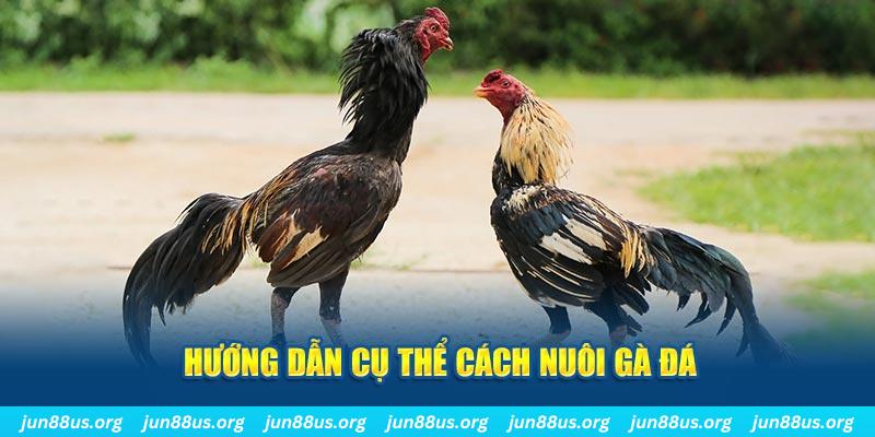 88clup đăng nhập sòng bạc số 1