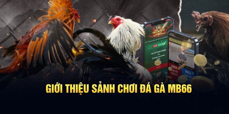 88clup đăng nhập poker hôm nay