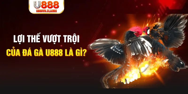 88clup 168G Điện Tử